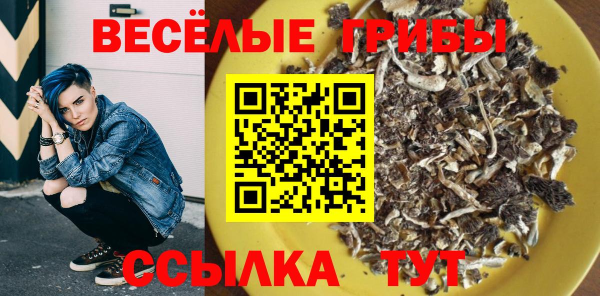 Галлюциногенные грибы мухоморы Рузаевка