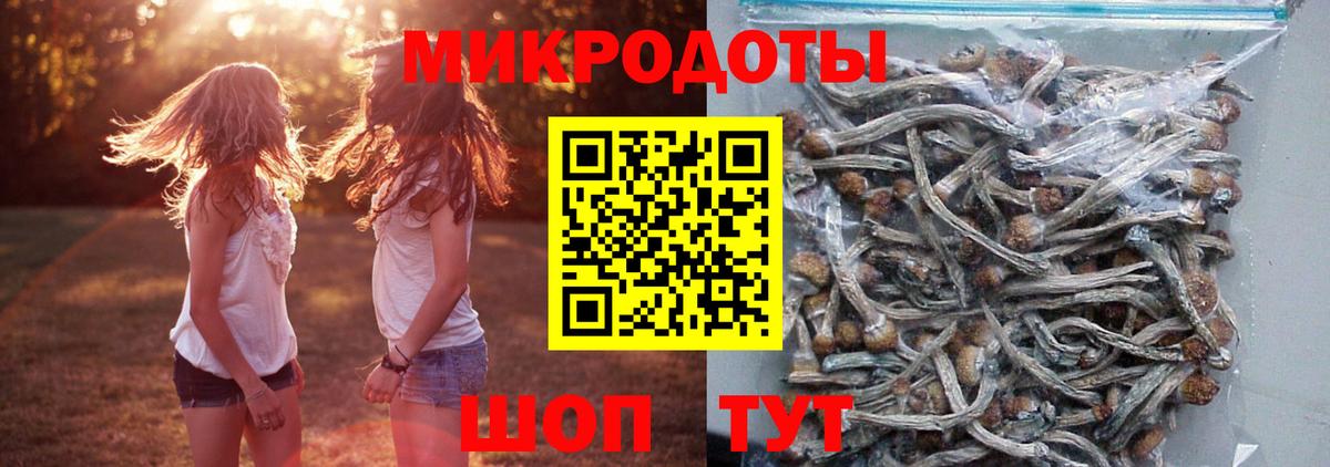 Псилоцибиновые грибы мицелий  Псилоцибиновые грибы MAGIC MUSHROOMS  Рузаевка  Вход с VPN 